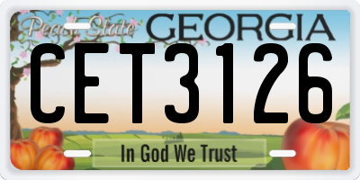 GA license plate CET3126