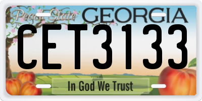 GA license plate CET3133