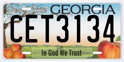 GA license plate CET3134