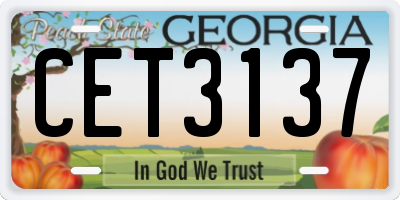 GA license plate CET3137