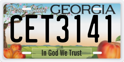 GA license plate CET3141