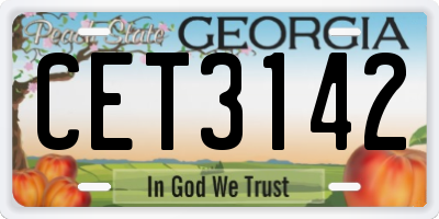GA license plate CET3142