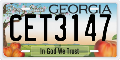 GA license plate CET3147