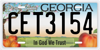 GA license plate CET3154