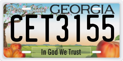 GA license plate CET3155