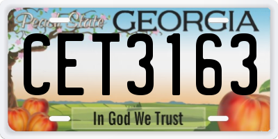 GA license plate CET3163