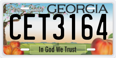 GA license plate CET3164