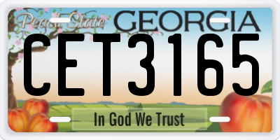 GA license plate CET3165