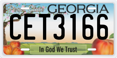 GA license plate CET3166