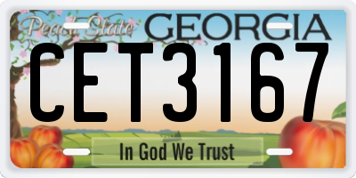 GA license plate CET3167