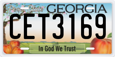 GA license plate CET3169