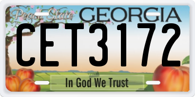 GA license plate CET3172
