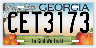 GA license plate CET3173