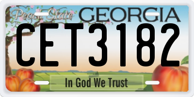 GA license plate CET3182