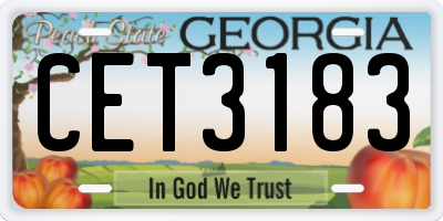 GA license plate CET3183