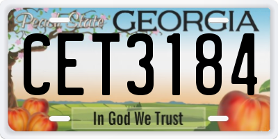 GA license plate CET3184