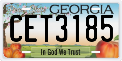 GA license plate CET3185