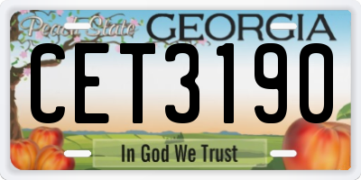 GA license plate CET3190