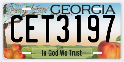 GA license plate CET3197
