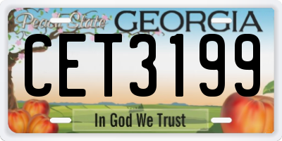 GA license plate CET3199