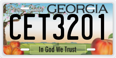 GA license plate CET3201