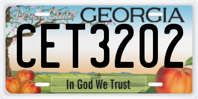 GA license plate CET3202