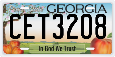 GA license plate CET3208