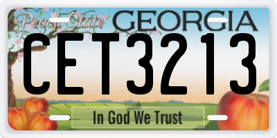 GA license plate CET3213