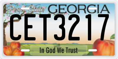 GA license plate CET3217