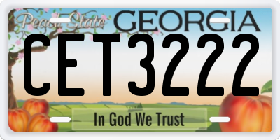 GA license plate CET3222