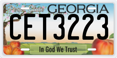 GA license plate CET3223