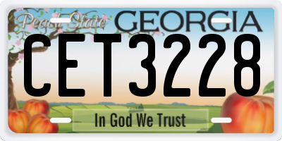 GA license plate CET3228