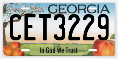 GA license plate CET3229