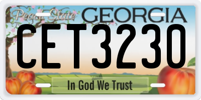 GA license plate CET3230
