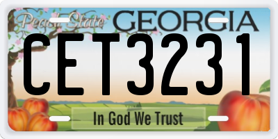 GA license plate CET3231