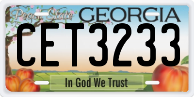 GA license plate CET3233