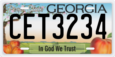 GA license plate CET3234