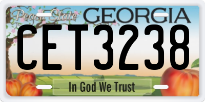 GA license plate CET3238