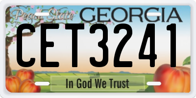 GA license plate CET3241