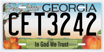 GA license plate CET3242
