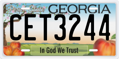 GA license plate CET3244