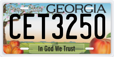 GA license plate CET3250