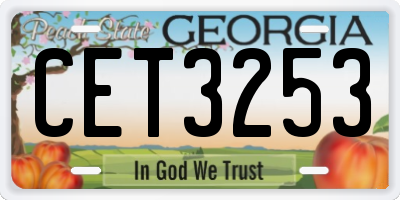 GA license plate CET3253
