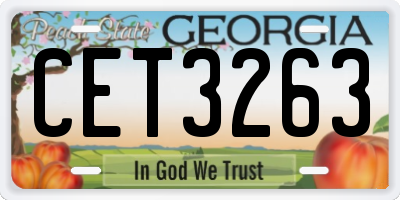 GA license plate CET3263