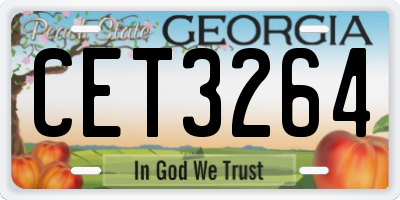 GA license plate CET3264