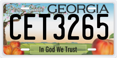 GA license plate CET3265