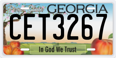 GA license plate CET3267