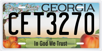 GA license plate CET3270