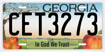 GA license plate CET3273