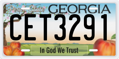 GA license plate CET3291